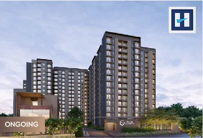 Goyal Orchid Salisbury
