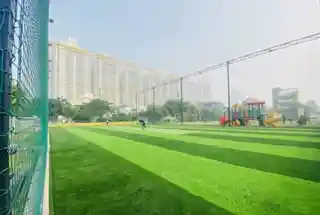 Sattva Park Cubix open sports turf